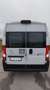 Citroen Jumper 35 2.2 BlueHDi 140 S&S PLM-TA Furgone Bianco - thumbnail 6