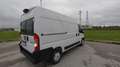 Citroen Jumper 35 2.2 BlueHDi 140 S&S PLM-TA Furgone Bianco - thumbnail 2
