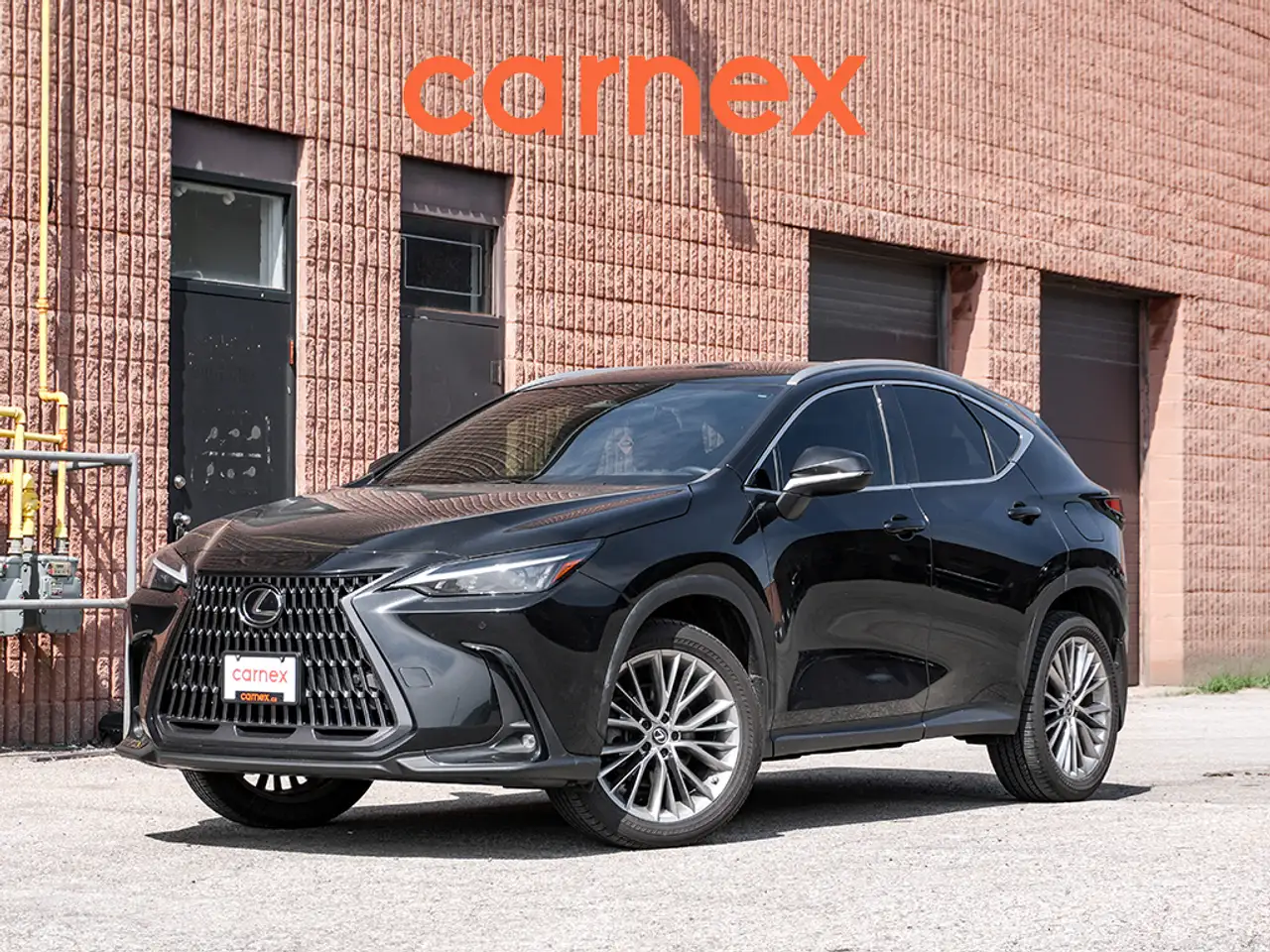 2023 Lexus NX