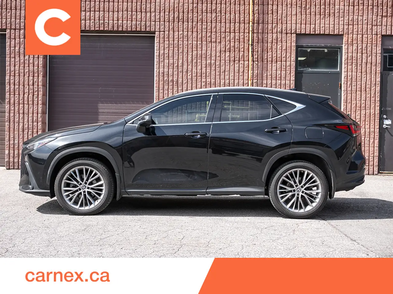Lexus NX photo Lexus NX