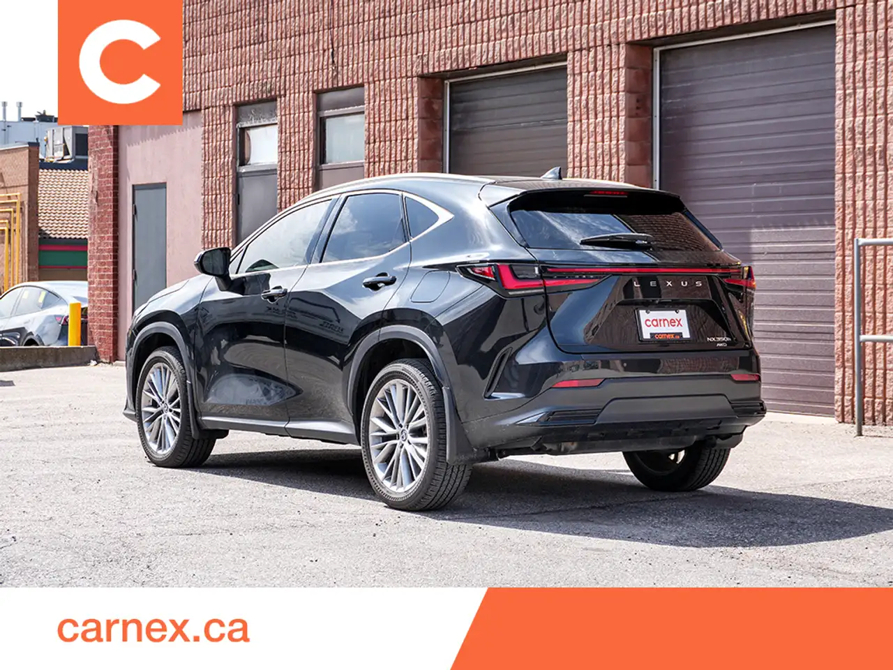 Lexus NX photo Lexus NX