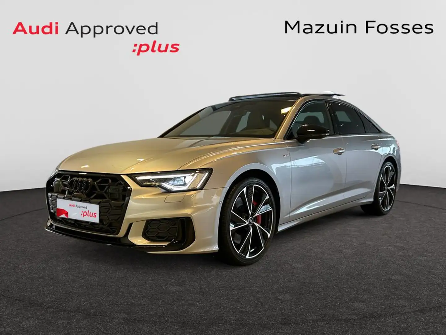 Audi A6 Competition 55TFSIe Quattro 270kW(367cv) S tronic Argent - 1