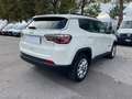 Jeep Compass Compass 1.6 mjt Business 2wd 120cv my20 Bianco - thumbnail 5