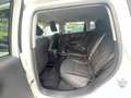 Jeep Compass Compass 1.6 mjt Business 2wd 120cv my20 Bianco - thumbnail 12