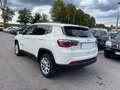 Jeep Compass Compass 1.6 mjt Business 2wd 120cv my20 Bianco - thumbnail 4