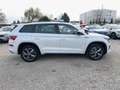 Skoda Kodiaq Sportline TDi DSG 4M CarPlay/ACC/AHK/LED Weiß - thumbnail 8