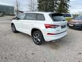 Skoda Kodiaq Sportline TDi DSG 4M CarPlay/ACC/AHK/LED Weiß - thumbnail 5