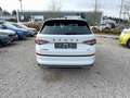 Skoda Kodiaq Sportline TDi DSG 4M CarPlay/ACC/AHK/LED Weiß - thumbnail 6