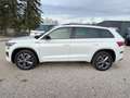 Skoda Kodiaq Sportline TDi DSG 4M CarPlay/ACC/AHK/LED Weiß - thumbnail 4