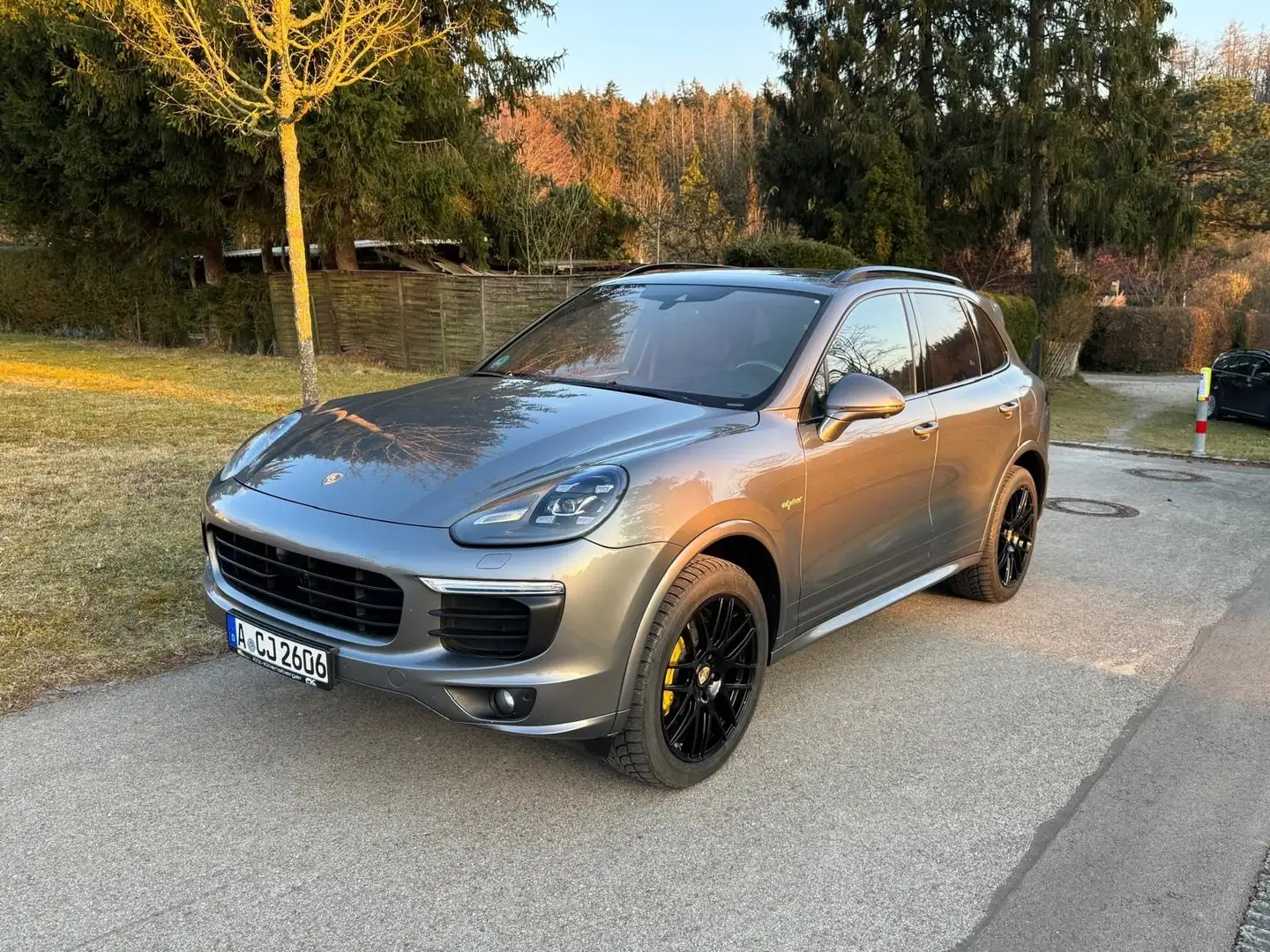 Porsche Cayenne Cayenne Hybrid PlugIn S E-Hybrid Platinum Edition Grau - 1