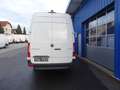 Mercedes-Benz Sprinter 317 CDI Kasten/Maxi RWD 9G-Tronic L3H2 Weiß - thumbnail 7