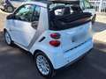 smart forTwo Fortwo II 2007 Cabrio Cabrio 1.0 mhd Passion 71cv Bianco - thumbnail 5