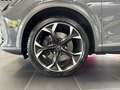 CUPRA Formentor VZ 2.0 TSI Klima Navi Rückfahrkamera Sitzheizung Grau - thumbnail 9