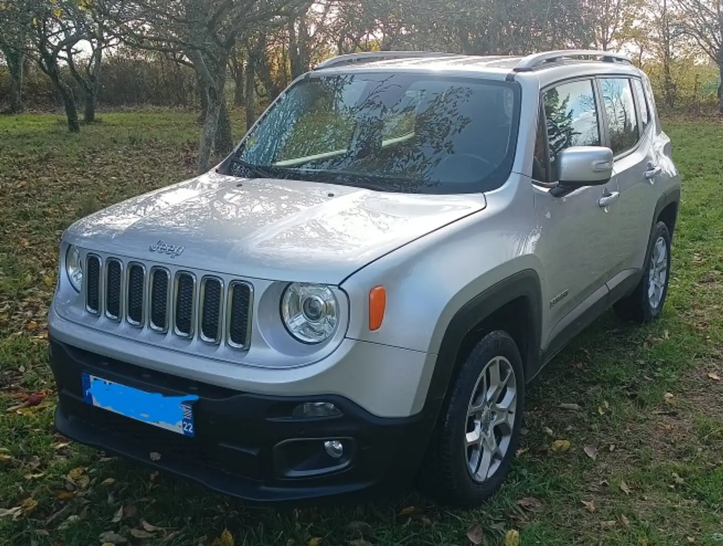Jeep Renegade Renegade 2.0 l MultiJet 140 ch 4x4 BVA9 Limited Gris - 1