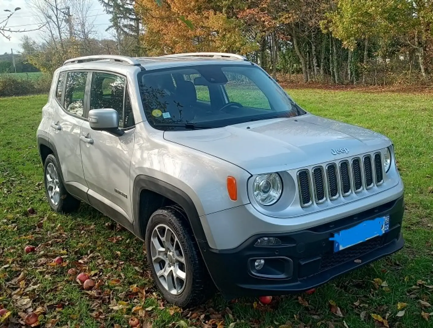 Jeep Renegade Renegade 2.0 l MultiJet 140 ch 4x4 BVA9 Limited Gris - 2