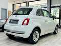 Fiat 500 500 1.2 Pop 69cv neopatentati 2015 Wit - thumbnail 5