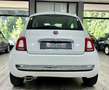 Fiat 500 500 1.2 Pop 69cv neopatentati 2015 Wit - thumbnail 6