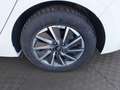 Hyundai IONIQ Elektro 38kWh Level 4 Aut. Weiß - thumbnail 13