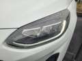 Ford Fiesta 1.0 Flexifuel 95ch Titanium Business 5p Blanc - thumbnail 4
