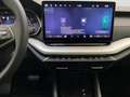 Skoda Octavia Combi 1.5TSI DSG Selection LED AHK Navi Grau - thumbnail 7