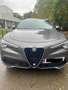 Alfa Romeo Stelvio prijs bespreekbaar!!! Argent - thumbnail 1