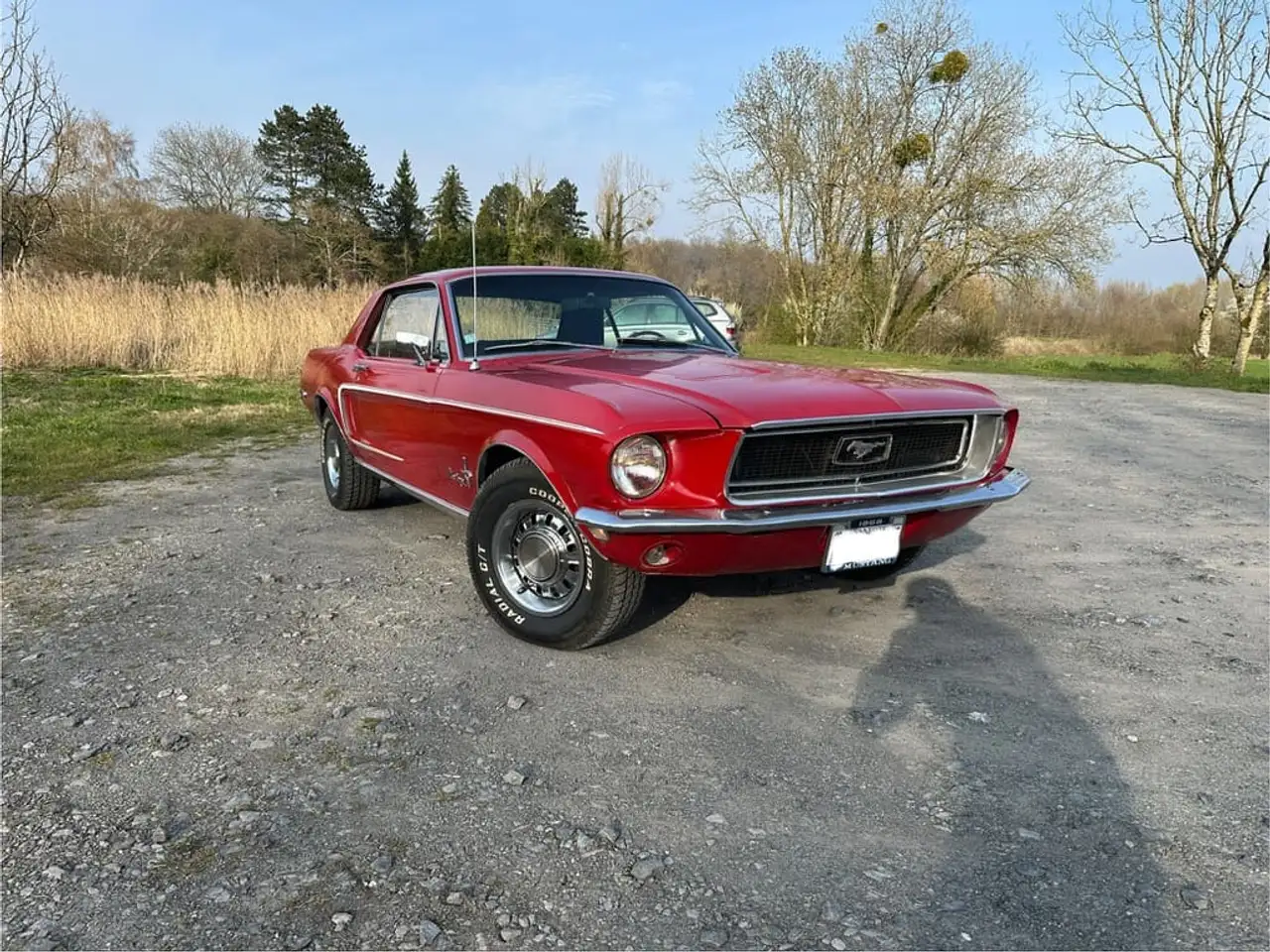 Ford Mustang 289 ci coupe, foto 1