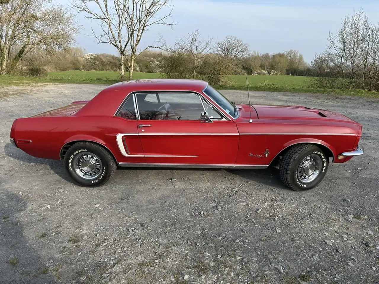 Ford Mustang 289 ci coupe, foto 8