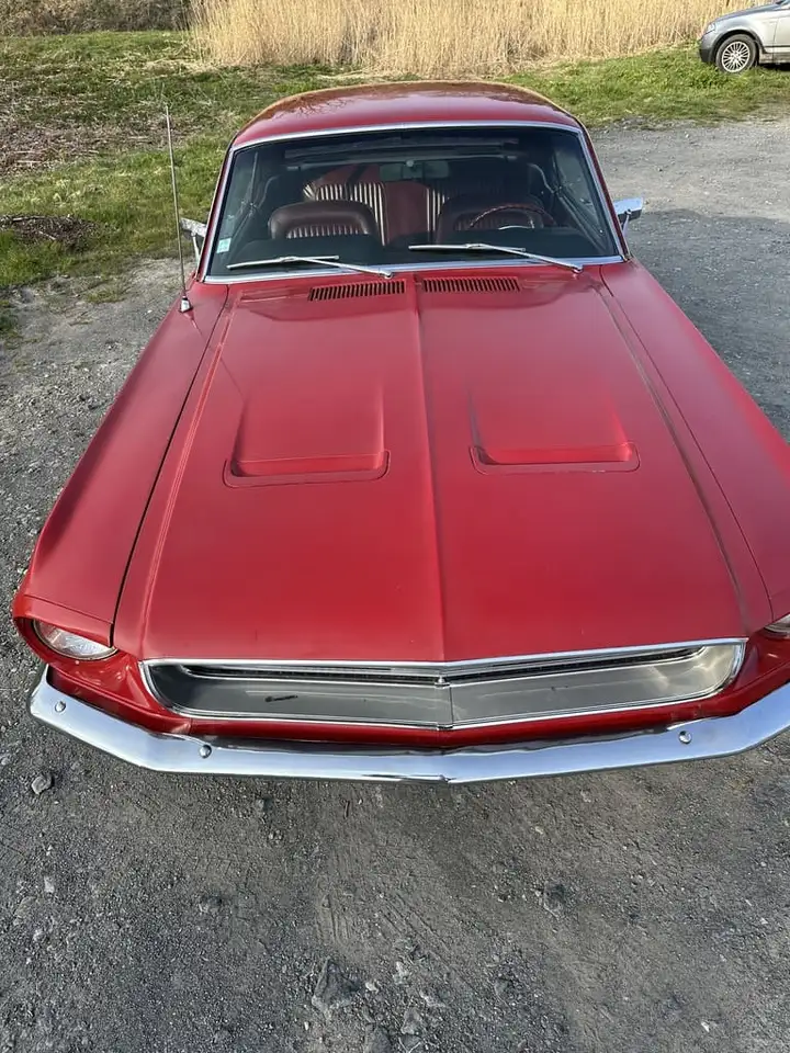 Ford Mustang 289 ci coupe, foto 7