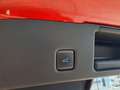 Ford Kuga 1.5 EcoBoost ST-Line X LED AHK ACC Navi Pano Rosso - thumbnail 12