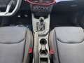 SEAT Ibiza 1.0 TSI FR LED*ACC*SHZ*NEBEL*PDC*KAMERA*SOUND*T... Rot - thumbnail 15