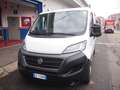 Fiat Ducato 2.3MJET 120CV LH1 BEN TENUTO EURO6D Bianco - thumbnail 8