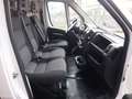 Fiat Ducato 2.3MJET 120CV LH1 BEN TENUTO EURO6D Bianco - thumbnail 10