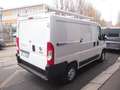 Fiat Ducato 2.3MJET 120CV LH1 BEN TENUTO EURO6D Bianco - thumbnail 5