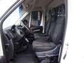 Fiat Ducato 2.3MJET 120CV LH1 BEN TENUTO EURO6D Bianco - thumbnail 9