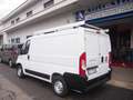 Fiat Ducato 2.3MJET 120CV LH1 BEN TENUTO EURO6D Bianco - thumbnail 3
