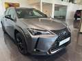 Lexus UX 250h Black Line Noir - thumbnail 2