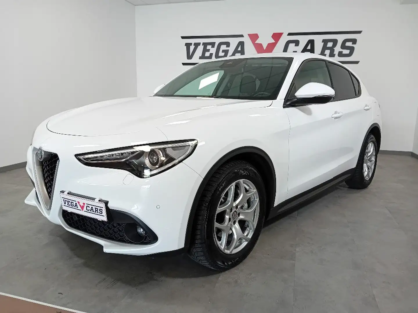 Alfa Romeo Stelvio 2.2 Turbodiesel 160 CV AT8 RWD Business Bianco - 1