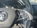 Skoda Fabia 1.0 MPI 80 CV Ambition Bianco - thumbnail 15