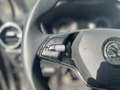 Skoda Fabia 1.0 MPI 80 CV Ambition Bianco - thumbnail 14
