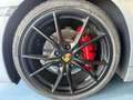Porsche Boxster 718 Boxster  718 2.5 GTS 365cv Argento - thumbnail 7