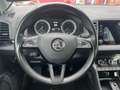 Skoda Karoq Style Limited TDI Silber - thumbnail 14