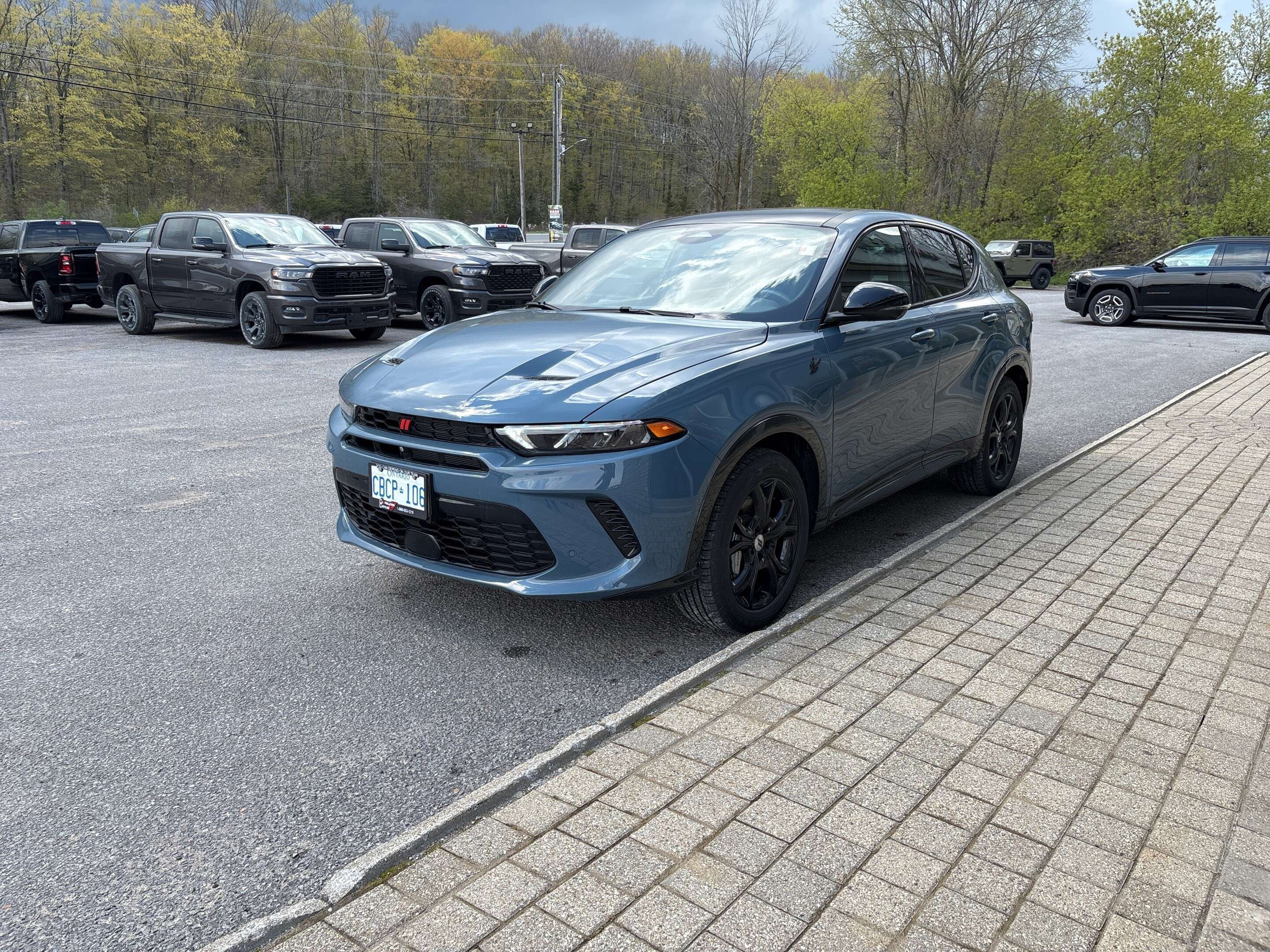 Image 8