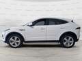 Jaguar E-Pace 2.0D I4 163 CV AWD Auto S GARANZIA 24 MESI White - thumbnail 7