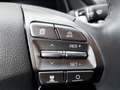 Hyundai IONIQ Ioniq Elektro 38kWh Level 4 Aut. Weiß - thumbnail 18