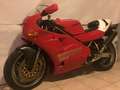 Ducati 888 DUCATI SP5 serie limitata n. 216 - thumbnail 3