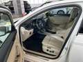 Skoda Superb Combi Premium Edition*Panorama* Weiß - thumbnail 6