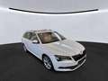 Skoda Superb Combi Premium Edition*Panorama* Weiß - thumbnail 2