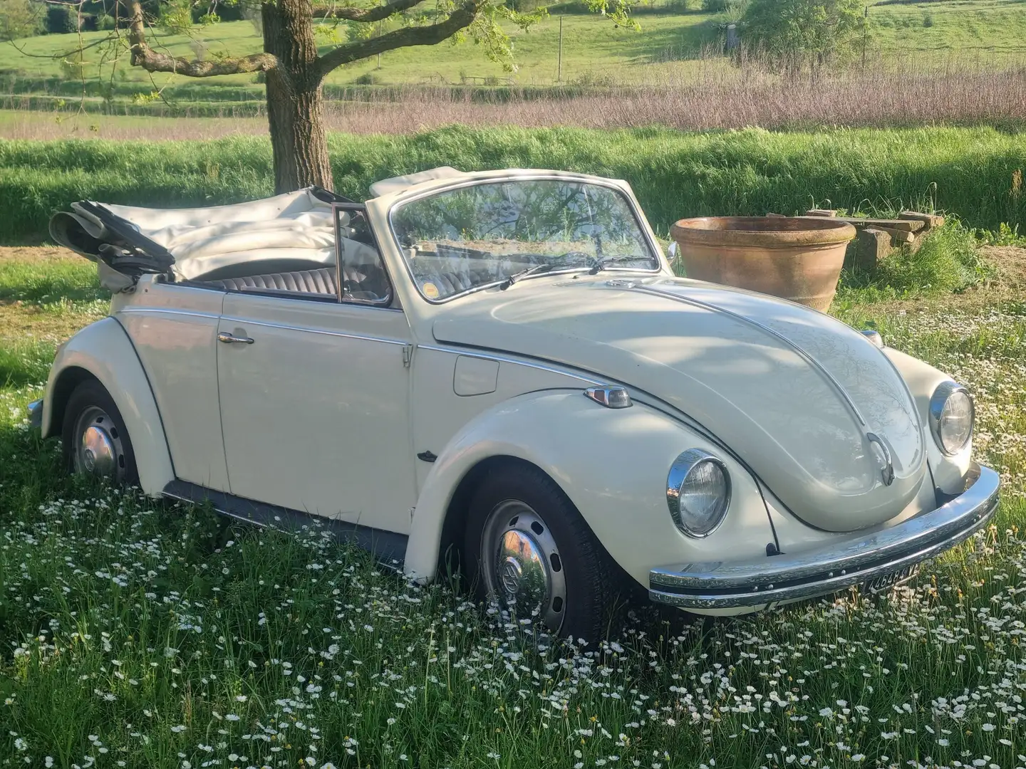 Volkswagen Maggiolino cabrio - 1