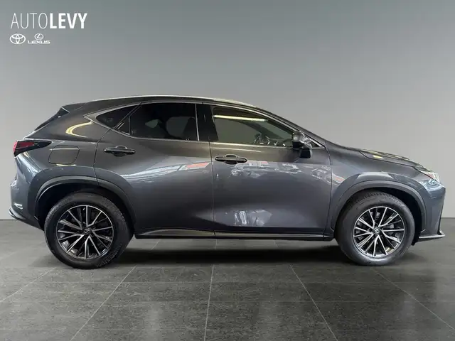 Lexus NX view 7