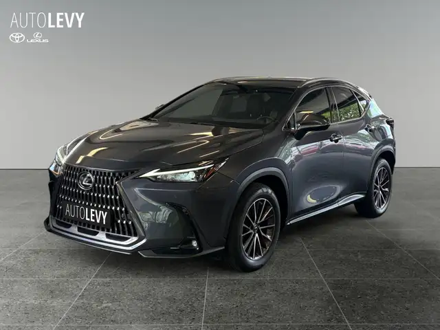 Lexus NX view 2